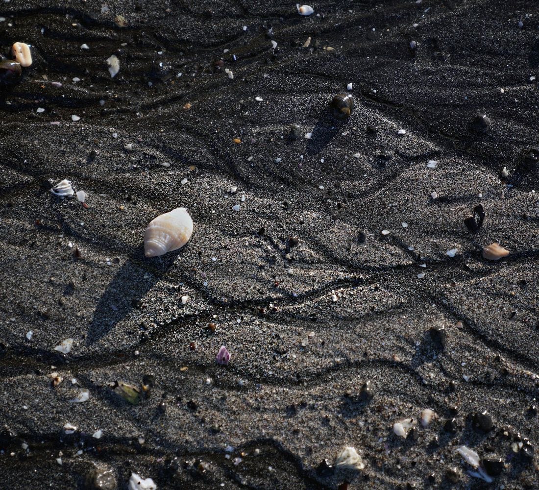 Svartur sandur og skeljar 