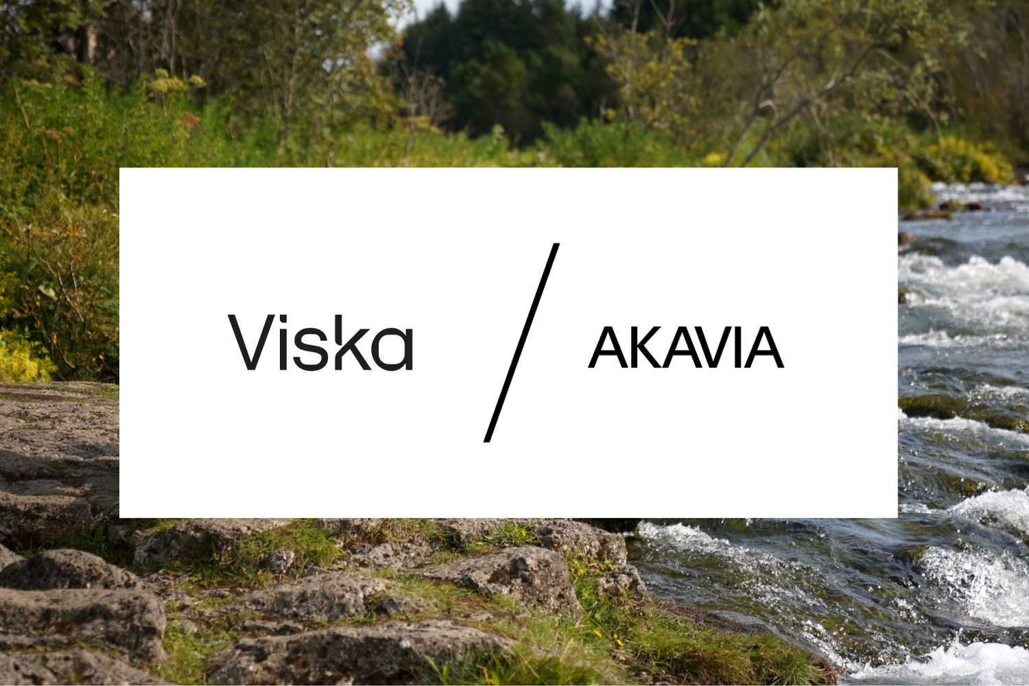 Viska–Akavia_Banner 