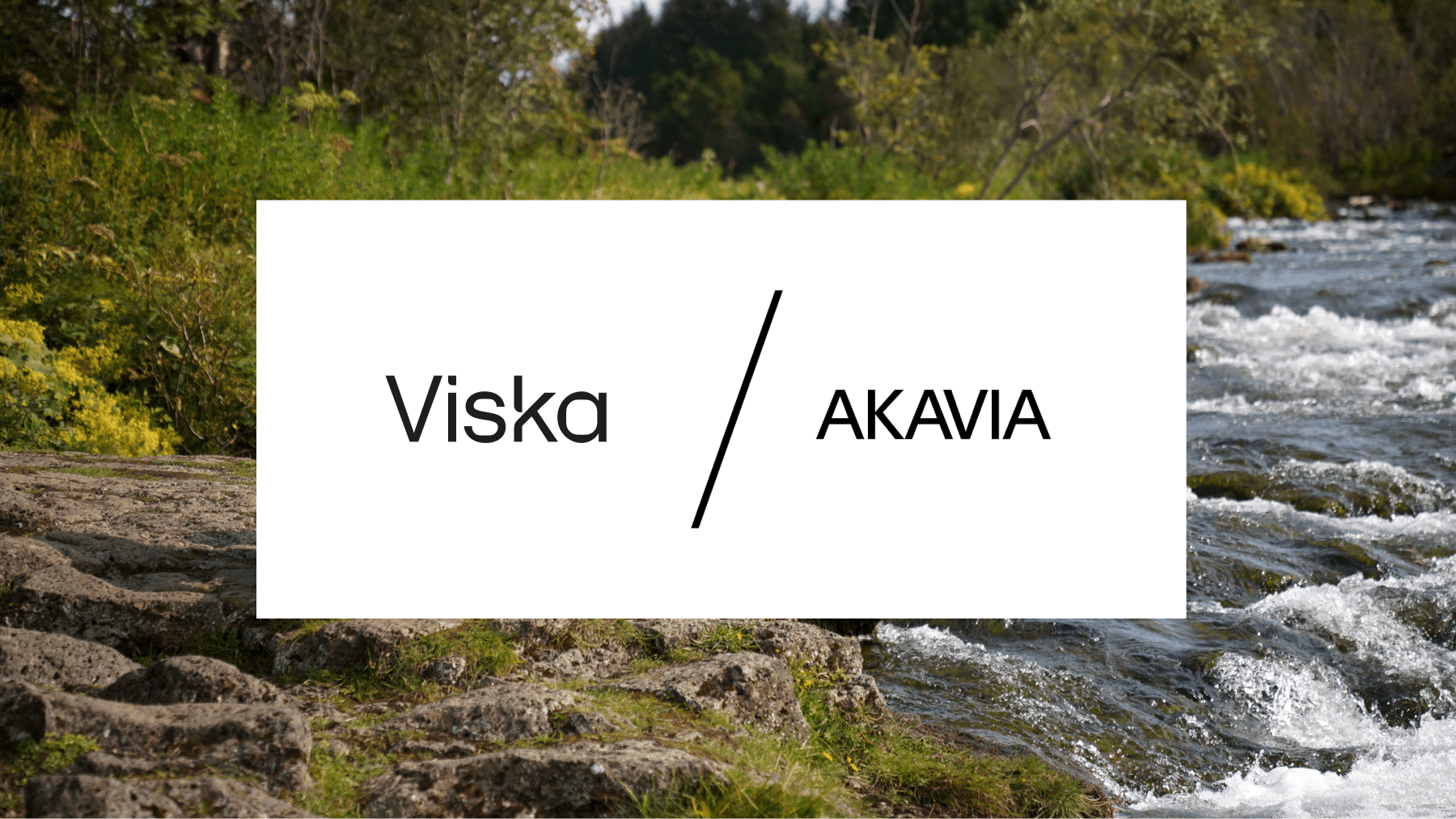 Viska–Akavia_Banner 